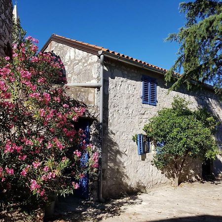 Вілла The Istrian Врсар Екстер'єр фото