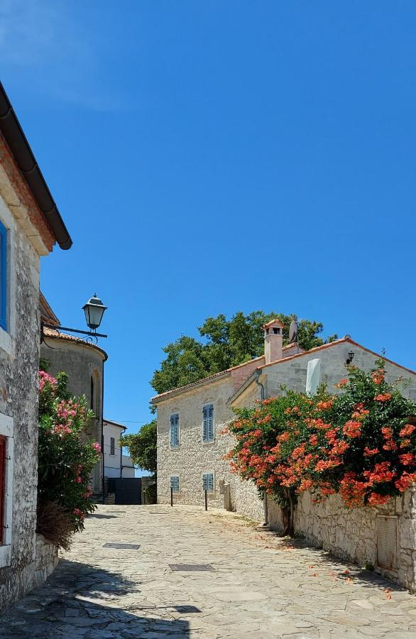 Вілла The Istrian Врсар Екстер'єр фото