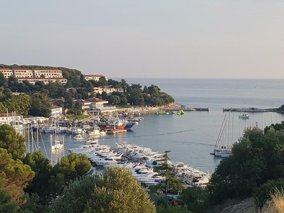 Вілла The Istrian Врсар Екстер'єр фото